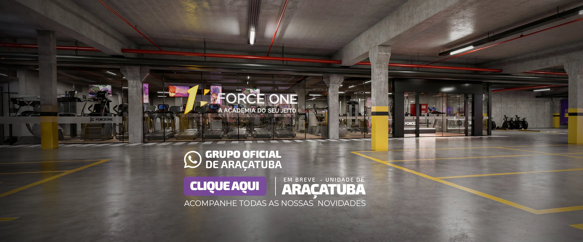 Banner Whats de Araçatuba